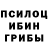 Галлюциногенные грибы MAGIC MUSHROOMS TS: GabGee