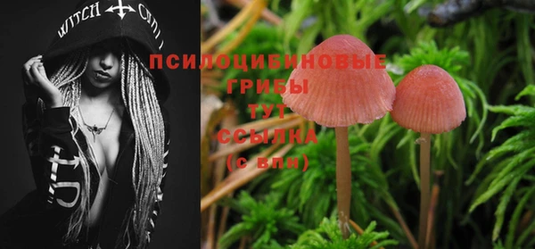 крисы Балахна