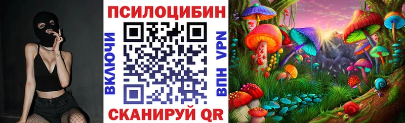 Купить  Баймак  Галлюциногенные грибы Cubensis 