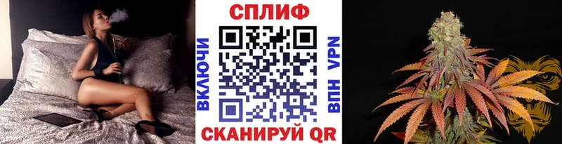 Купить закладки  Баймак  Каннабис план 